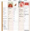 com_form2content_p3_f14086_77