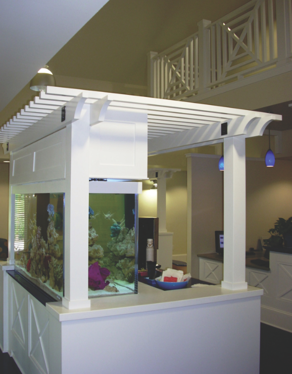 The doctor wanted many areas of interest for his patients, including a number of very large saltwater fish tanks. 
