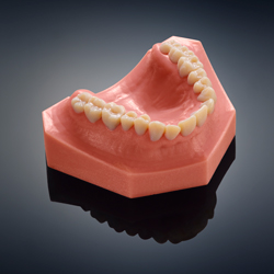 True-to-life-dental-model-accurately-depicts-teeth-and-gingiva,-produced-in-one-print-run-on-the-new-Objet260-Dental-Selection-3D-Printer-from-Stratasys.